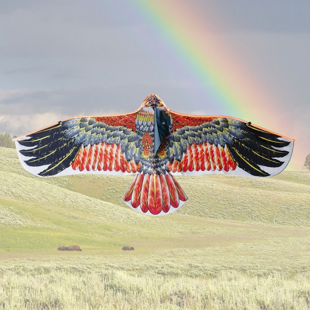 1.1m Eagle Kite With 30m Kite  – Fly Line recenzja i cena
