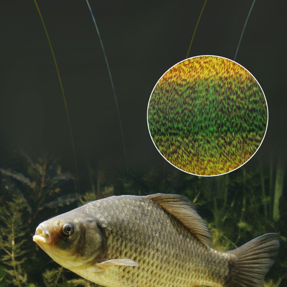FTK 300M Invisible Fishing Lin – Fluorocarbon Line recenzja i cena